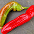 Fresh NuMex Mixed Chillies (500g)