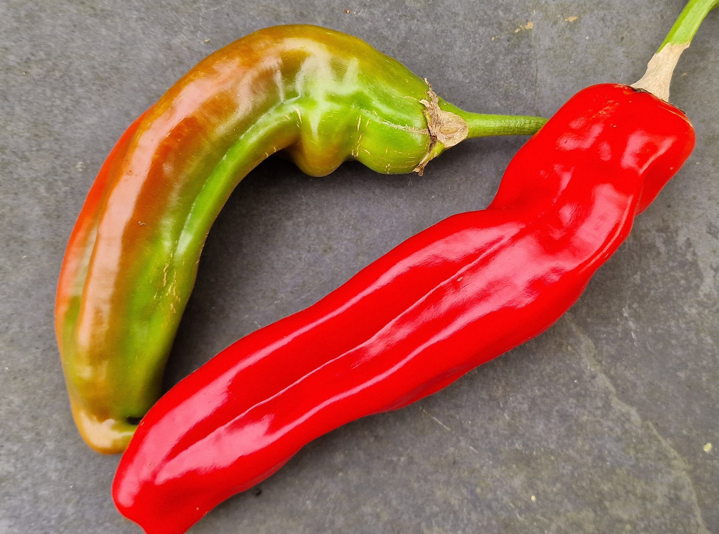 Fresh NuMex Mixed Chillies (500g)