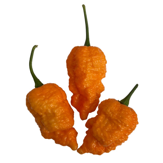 Brain Collapse Peach Chilli Seeds