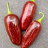Brown Jalapeño Chilli Seeds