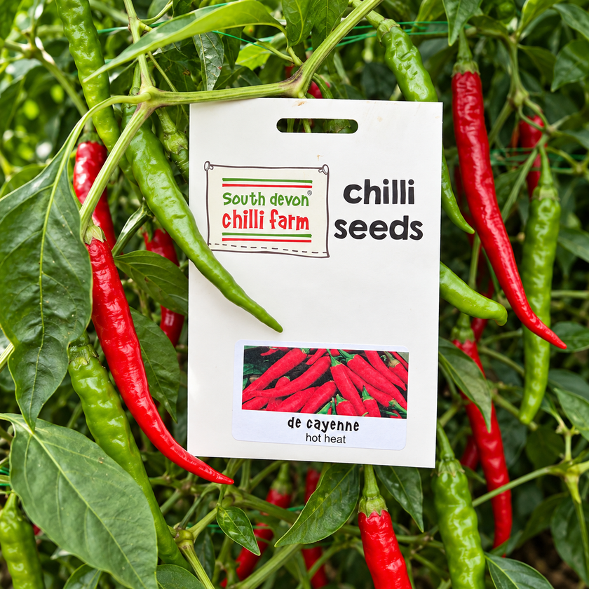 De Cayenne Chilli Seeds