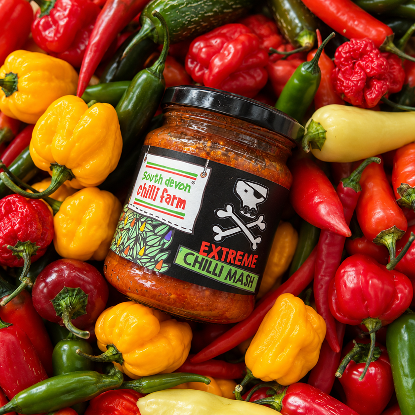 Extreme Chilli Mash