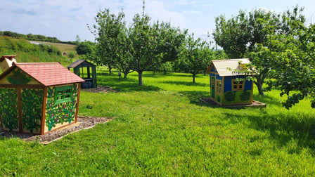 Play Area