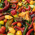 Lucky Dip Fresh Mixed Chillies