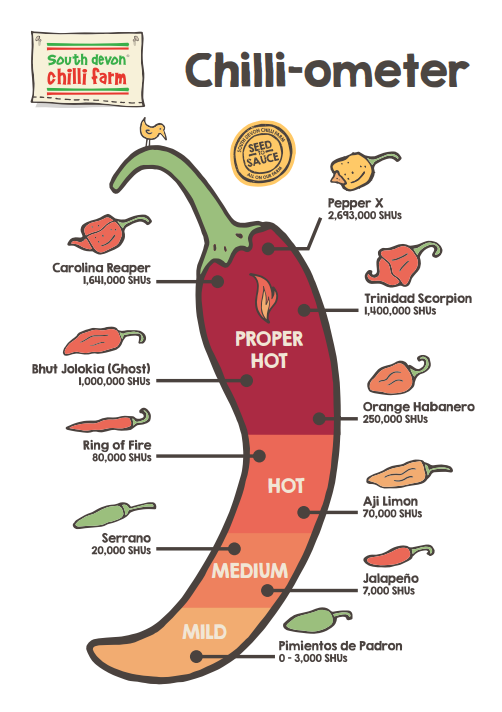 Chilli Ladder Chilli-ometer Poster – South Devon Chilli Farm
