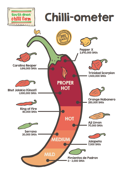 Chilli-ometer Poster