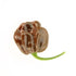 Chocolate Habanero 1 Litre Pot Plant - Pre Order Now!