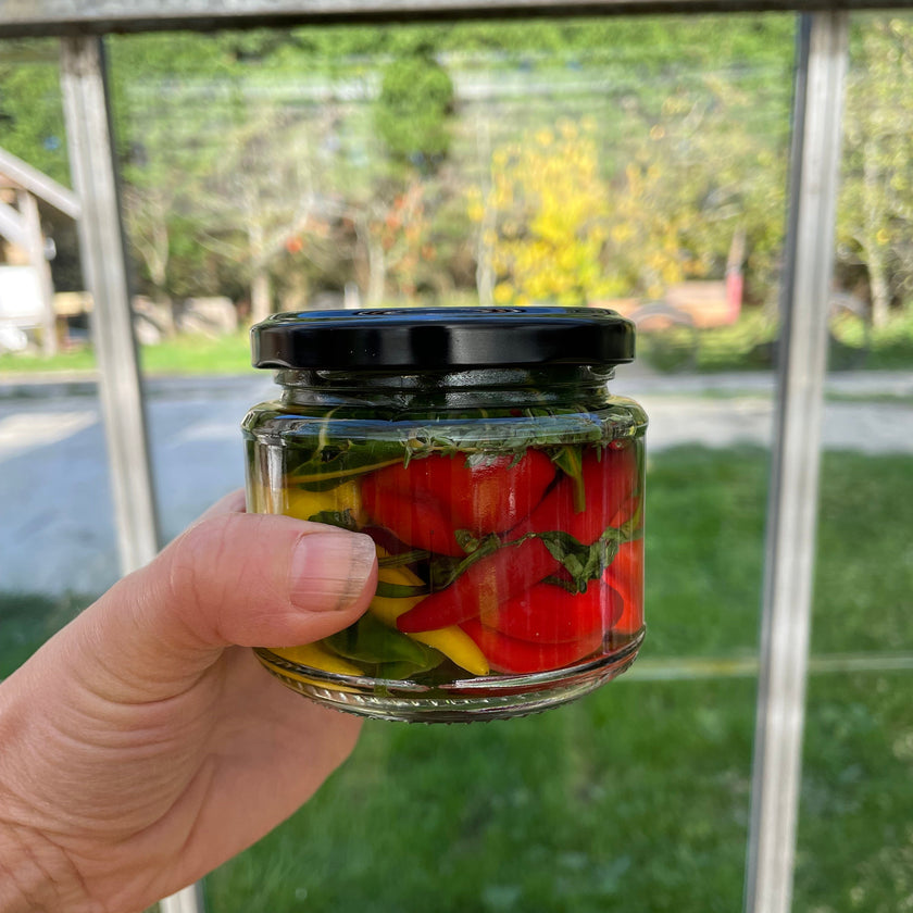 Pick & Preserve | Hands-on Chilli Fermenting Workshop