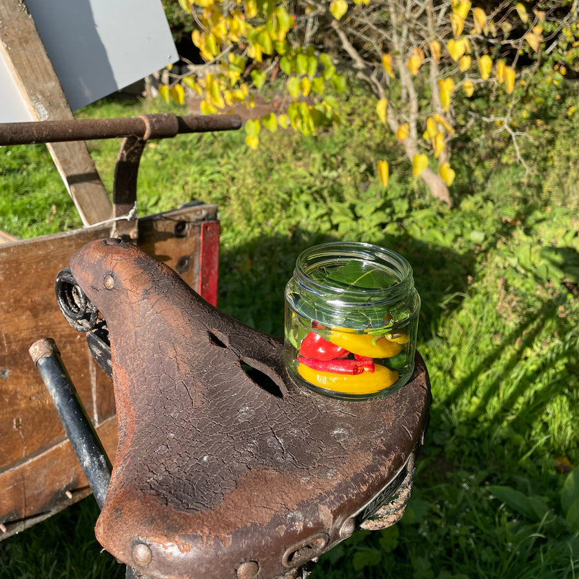 Pick & Preserve | Hands-on Chilli Fermenting Workshop