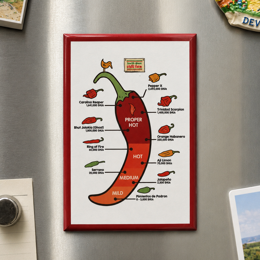 Chilli Fridge Magnet