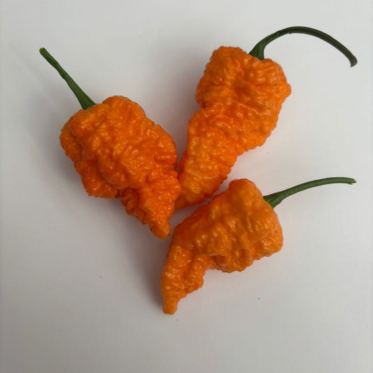 Fried Chicken Chilli Seeds