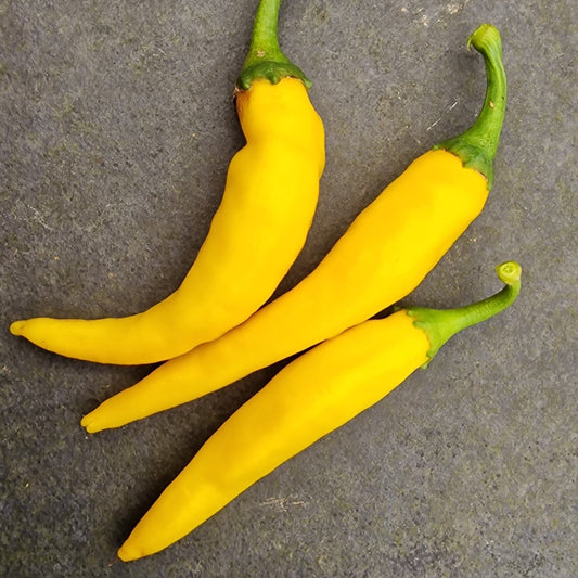 Fresh Golden Cayenne chillies (3 fruits)