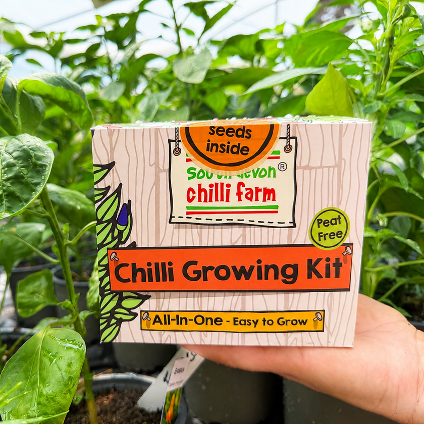 Chilli Growing Kit 'All-In-One'