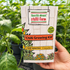 Chilli Growing Kit - 4 Variety Chilli Selection
