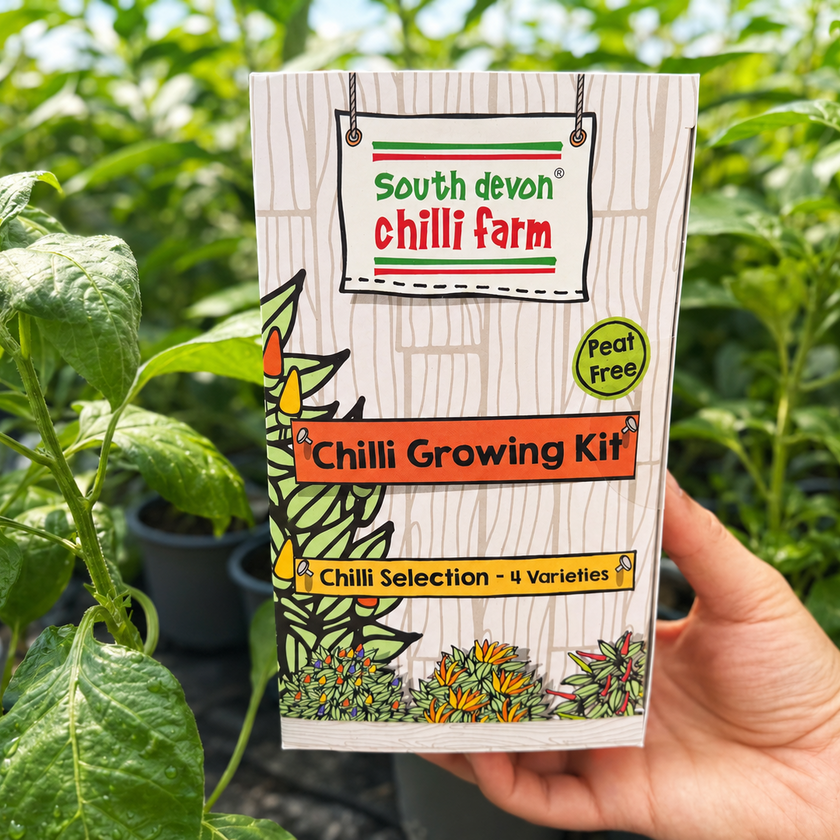 Chilli Growing Kit - 4 Variety Chilli Selection