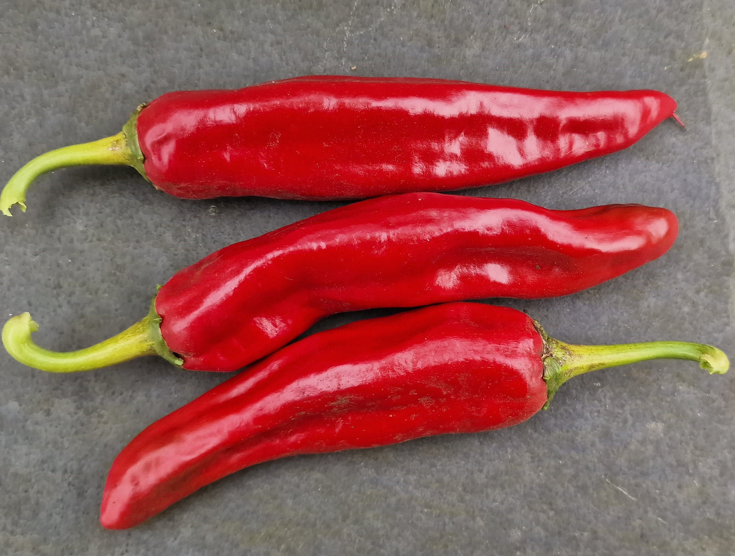 Fresh Guajillo Chillies (2 fruits)