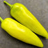 Hungarian Hot Wax Chilli Seeds