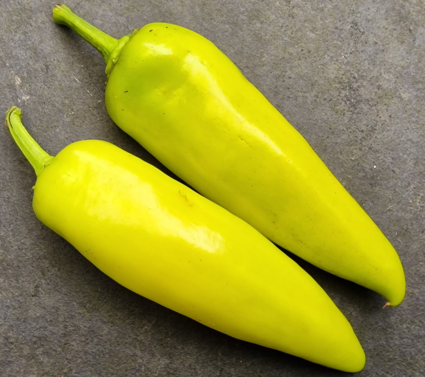 Fresh Hungarian Hot Wax Chillies