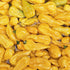 Fresh Fatalli (5 fruits)