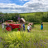 Private Tour of the Farm with a Chilli Expert