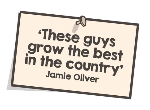 Jamie Oliver Quote