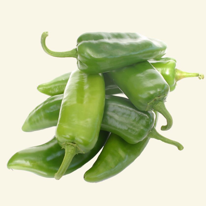 Joe E Parker Chilli Seeds