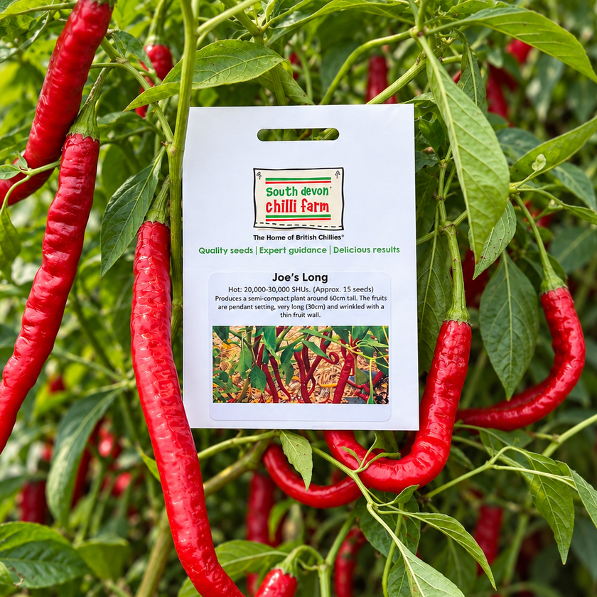Joe's Long Chilli Seeds