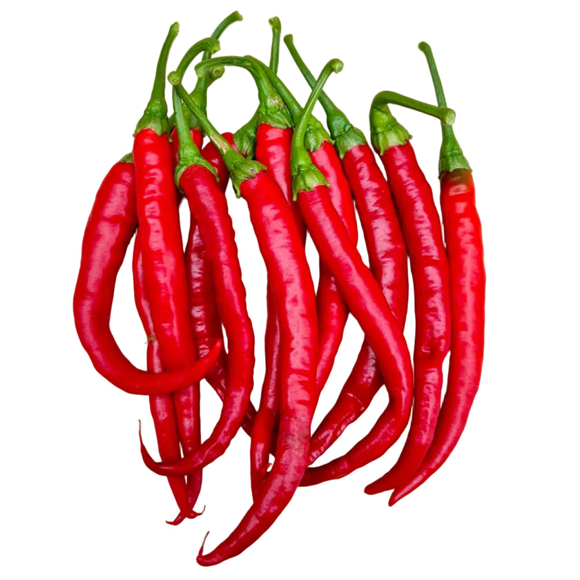 Kung Po Chilli Seeds