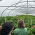 Private Tour of the Farm with a Chilli Expert