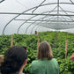 Private Tour of the Farm with a Chilli Expert