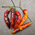 Murupi Purple Chilli Seeds