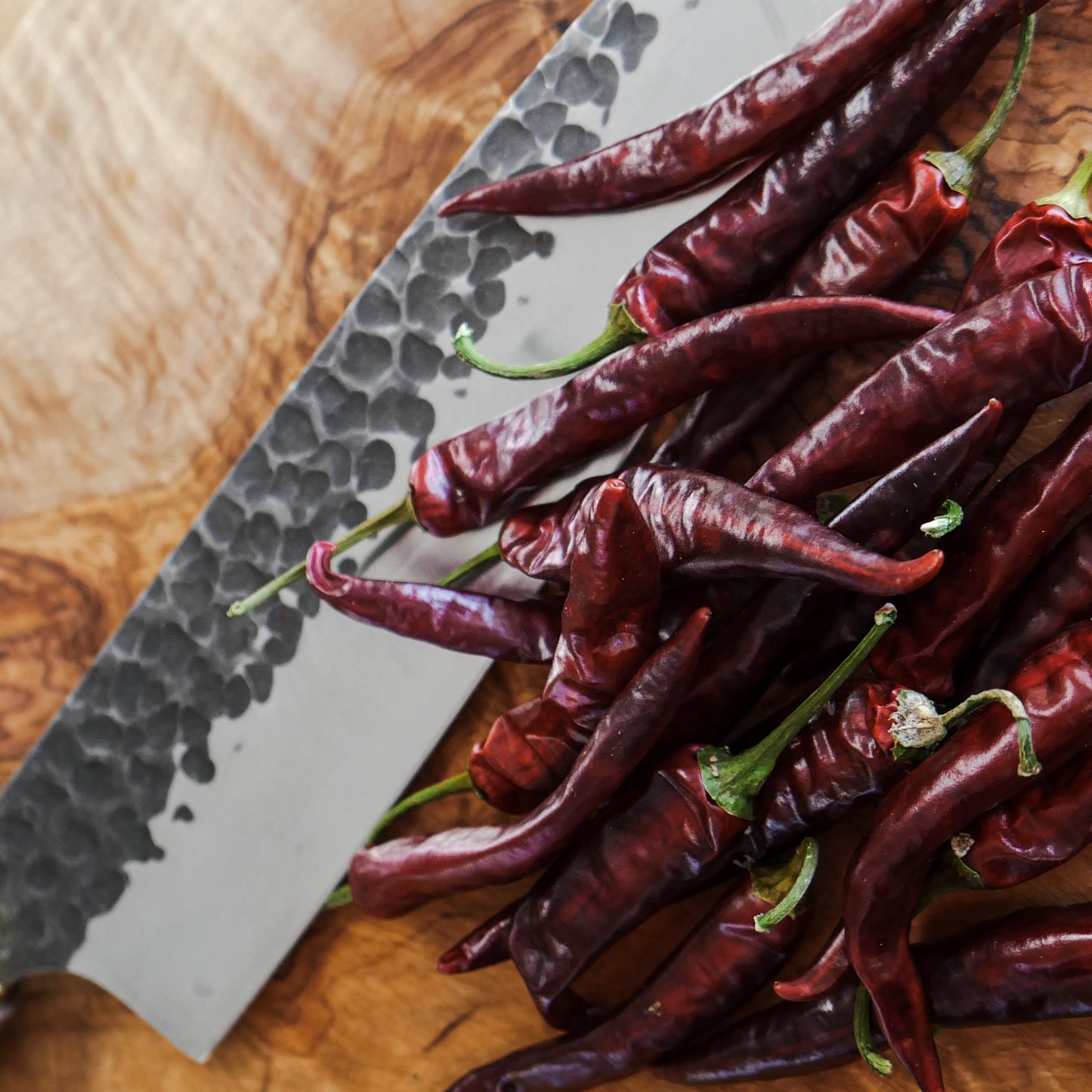 Dried Ring of Fire Chillies (Home Grown)