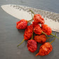 Dried Trinidad Scorpion Chillies (Home Grown)