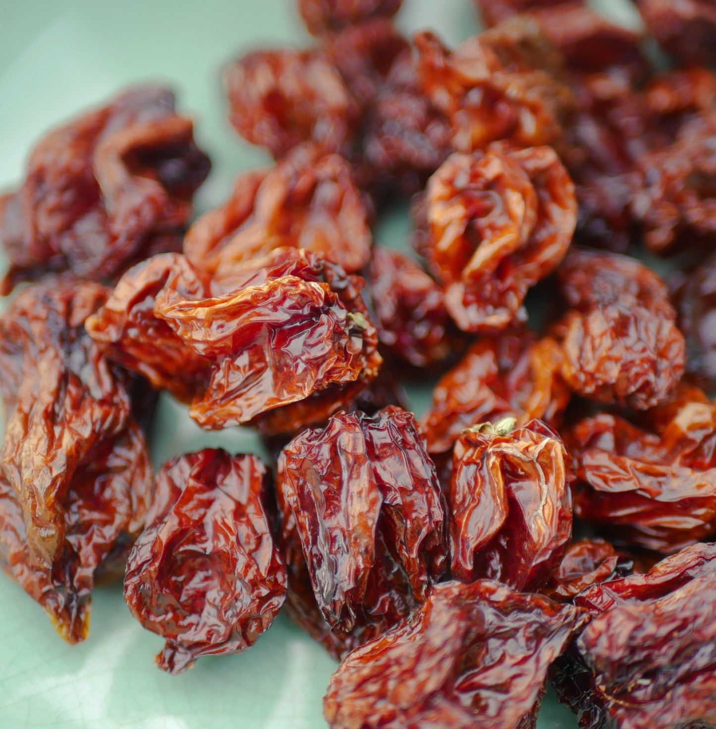 Dried Orange Habanero Chillies (Home Grown)