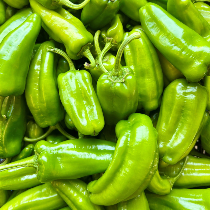 Fresh Pimientos de Padron Chillies (150g)