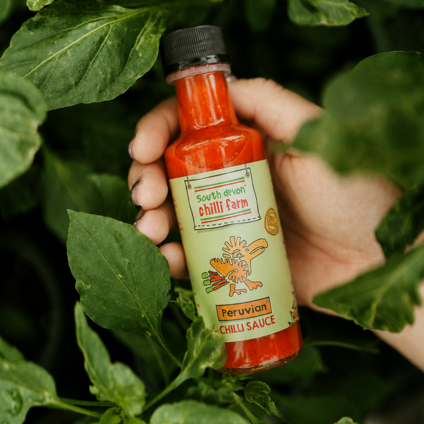 Hand holding a bottle of Peruvian chili sauce surrounded by green leaves