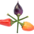 Peruvian Purple Chilli Seeds