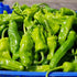 Fresh Pimientos de Padron Chillies (150g)