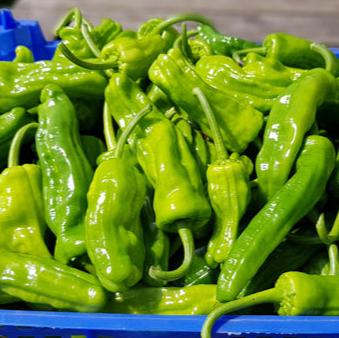Fresh Pimientos de Padron Chillies (150g)