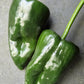 Poblano Chilli Seeds