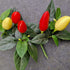Prairie Fire 1 Litre Pot Plant (Pre-Order)