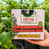 Extreme Chilli Growing Kit 'All-In-One'