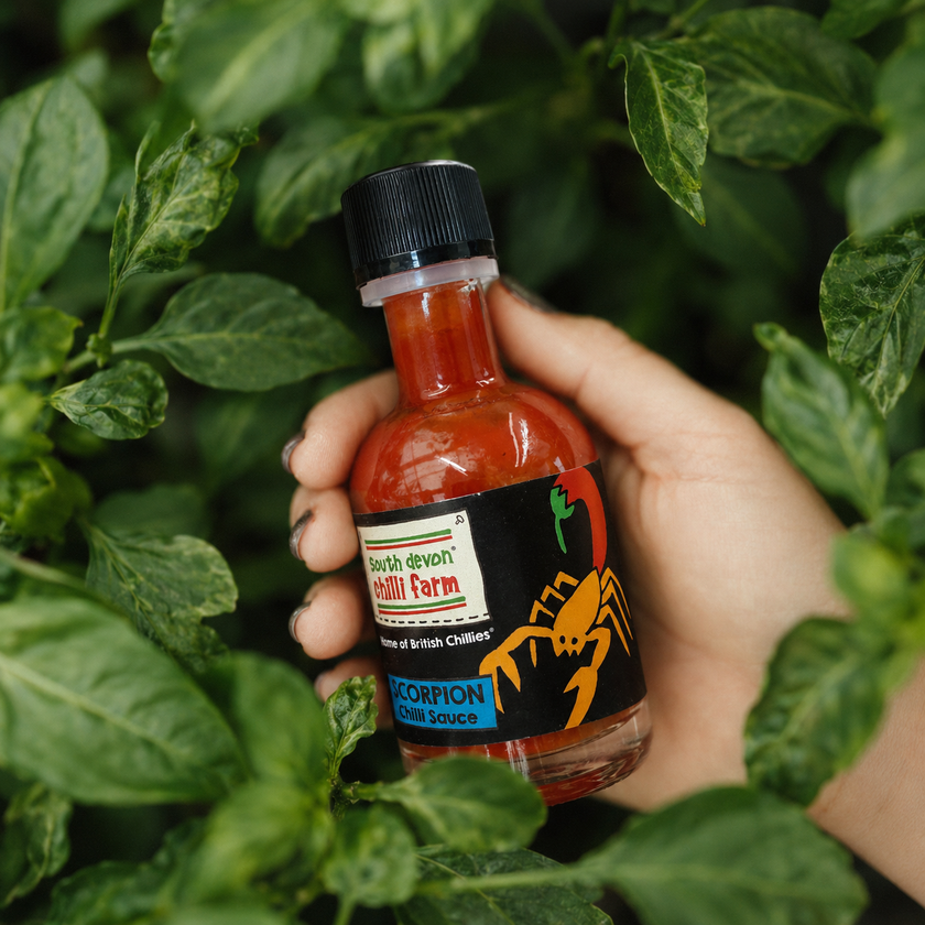 Scorpion Chilli Sauce