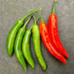 Fresh Serrano Chillies (6 fruits)