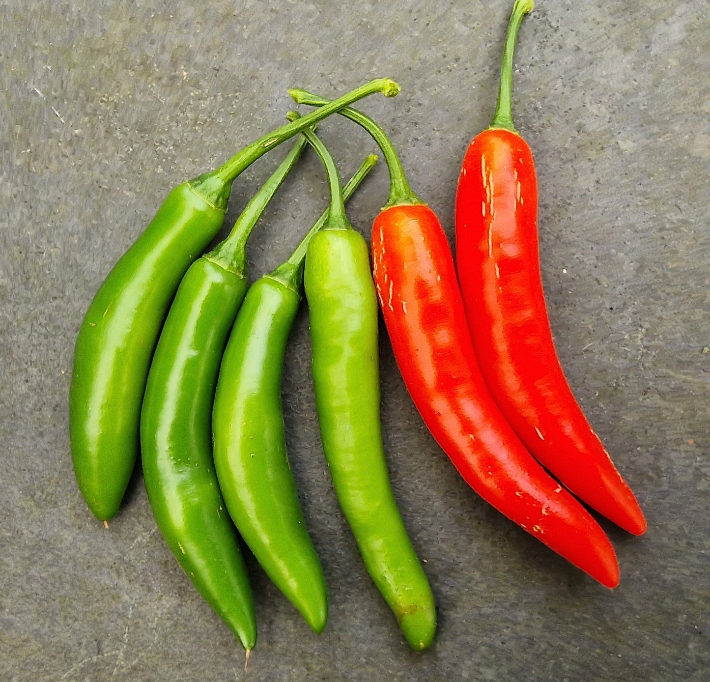 Fresh Serrano Chillies (6 fruits)