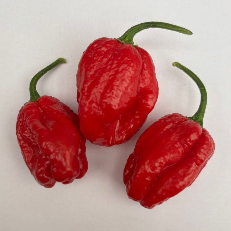 Sweet Moruga Chilli Seeds