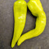 Sweet Banana 1 Litre Pot Plant - Pre-Order Now!