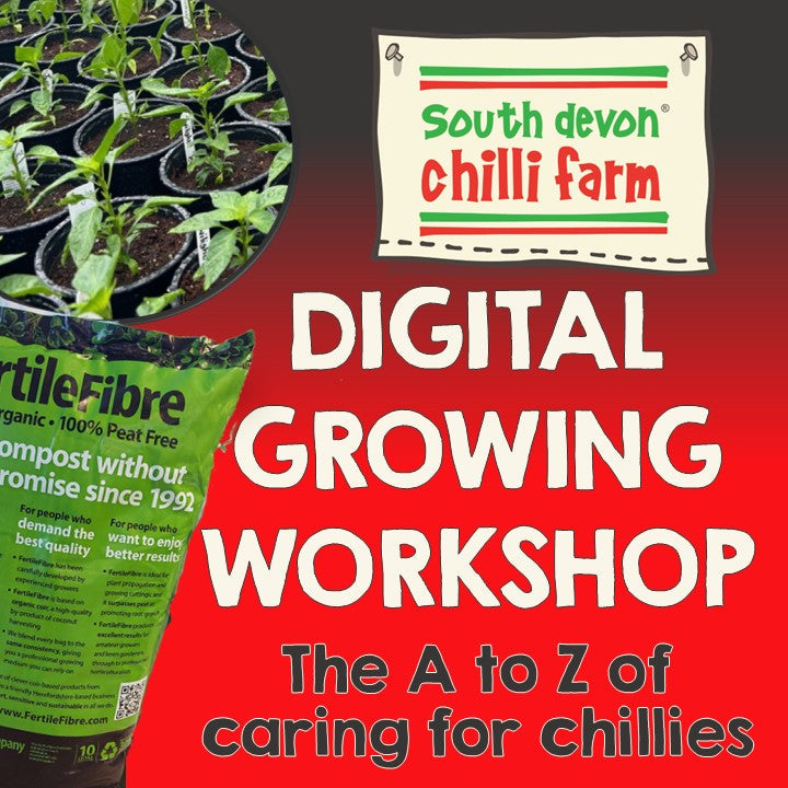 Digital Chilli Growing Workshop