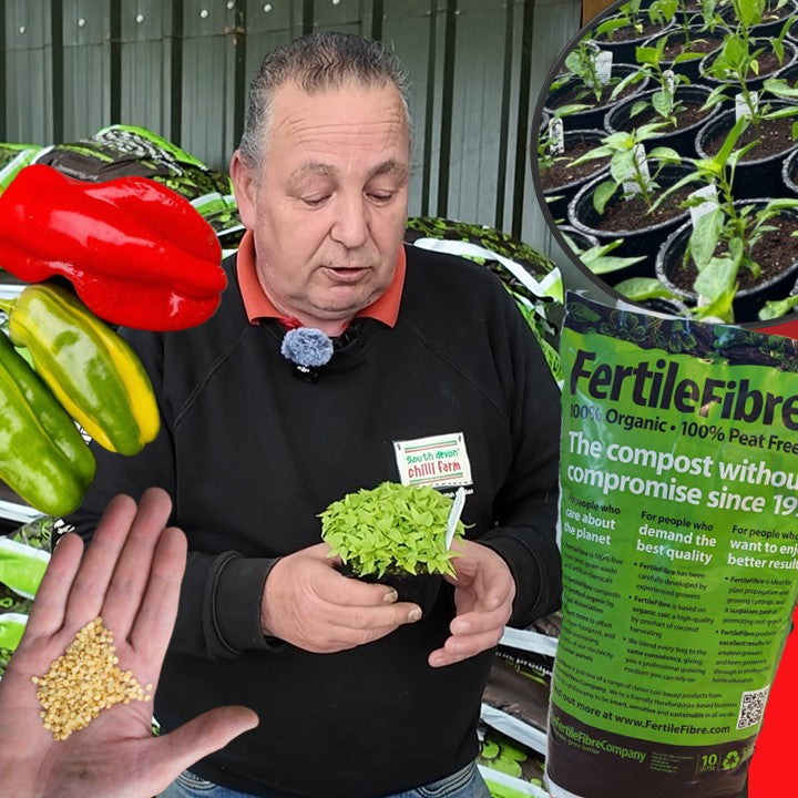 Digital Chilli Growing Workshop