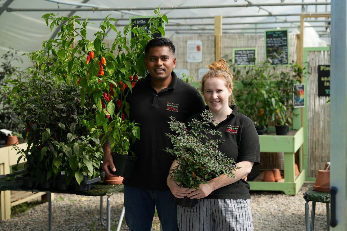 Welcome to South Devon Chilli Farm